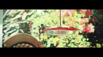 Free download {Sarasvati} video and edit with RedcoolMedia movie maker MovieStudio video editor online and AudioStudio audio editor onlin